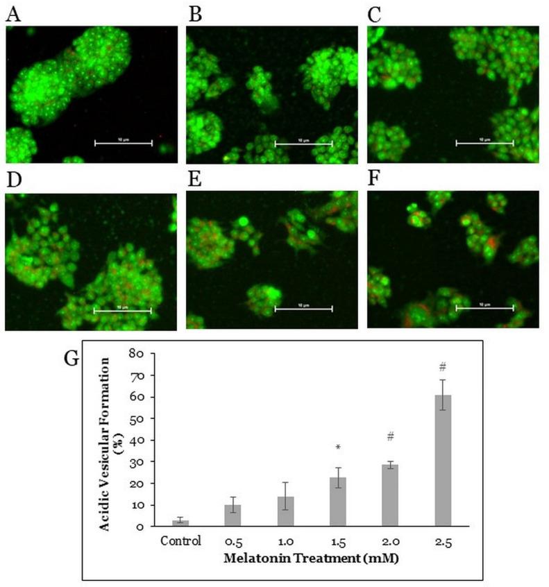 https://cdn.ncbi.nlm.nih.gov/pmc/blobs/5790/8400139/55f6d656ab8e/molecules-26-05038-g003.jpg