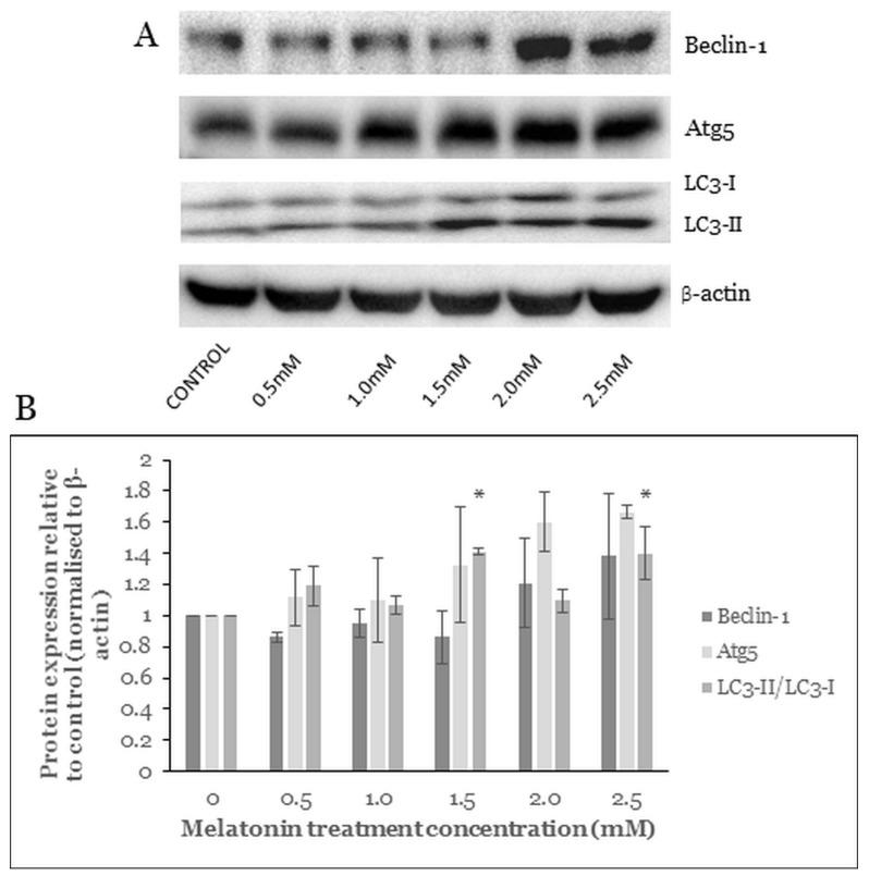 https://cdn.ncbi.nlm.nih.gov/pmc/blobs/5790/8400139/7fbfdd246476/molecules-26-05038-g007.jpg