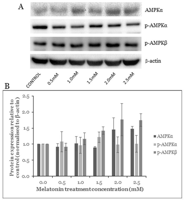 https://cdn.ncbi.nlm.nih.gov/pmc/blobs/5790/8400139/b022fca1960b/molecules-26-05038-g005.jpg