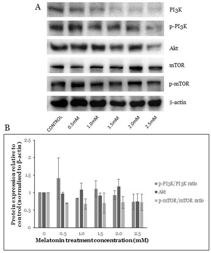 https://cdn.ncbi.nlm.nih.gov/pmc/blobs/5790/8400139/c0622aecdc36/molecules-26-05038-g006.jpg