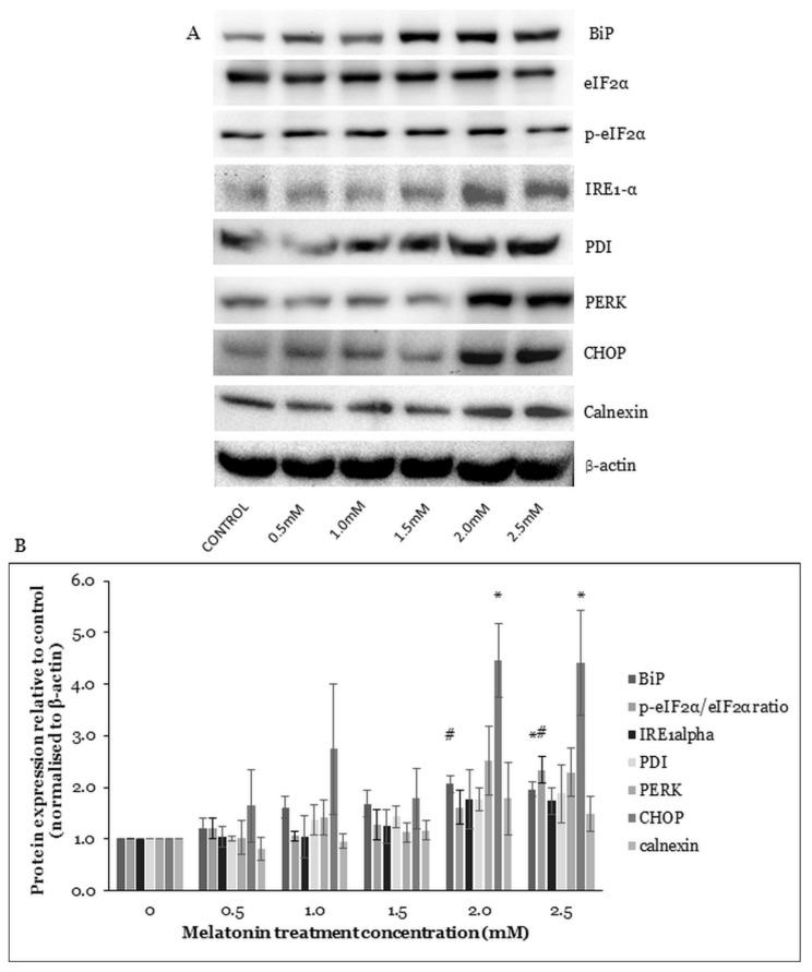 https://cdn.ncbi.nlm.nih.gov/pmc/blobs/5790/8400139/e718e6ab2528/molecules-26-05038-g004.jpg