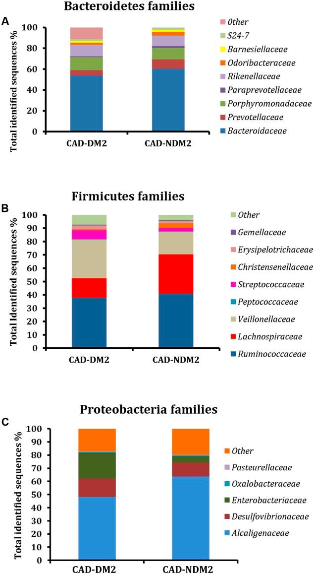 https://cdn.ncbi.nlm.nih.gov/pmc/blobs/5798/5633746/35e17176d5cf/fmicb-08-01936-g003.jpg