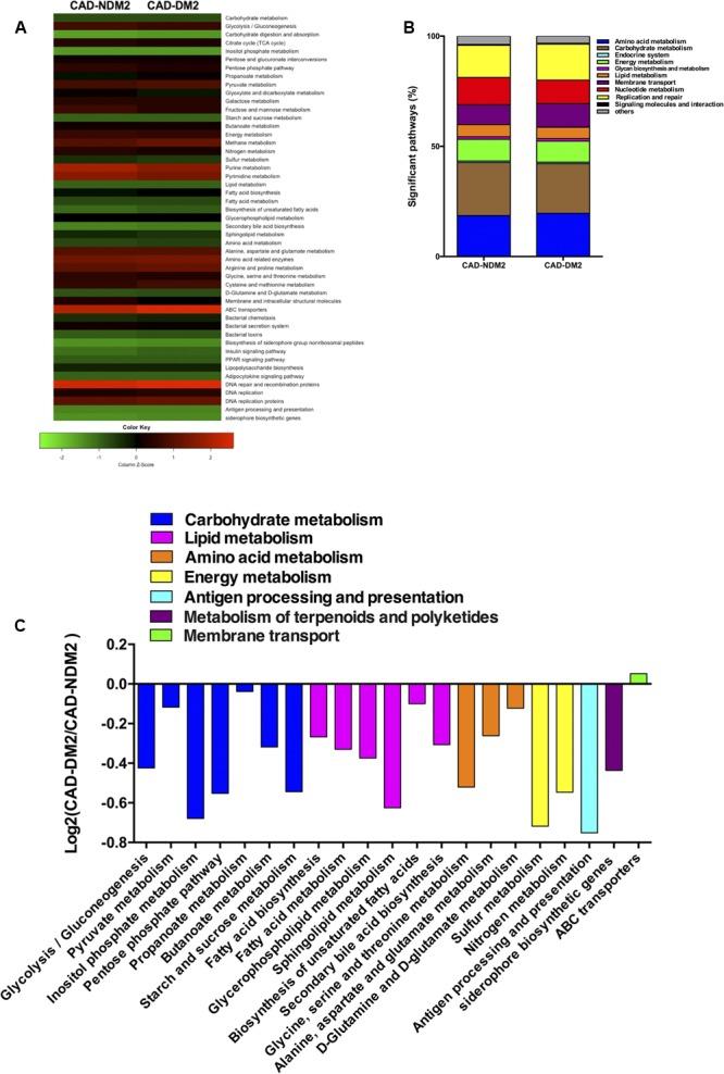 https://cdn.ncbi.nlm.nih.gov/pmc/blobs/5798/5633746/672935c7045d/fmicb-08-01936-g005.jpg