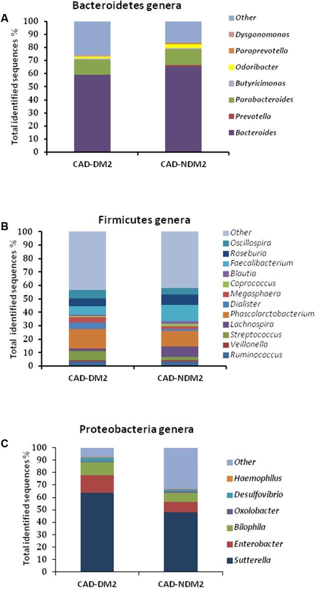 https://cdn.ncbi.nlm.nih.gov/pmc/blobs/5798/5633746/c8054afdcaac/fmicb-08-01936-g004.jpg