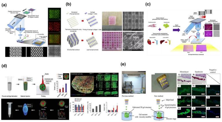 https://cdn.ncbi.nlm.nih.gov/pmc/blobs/57a1/10180184/3d0a6658f431/molecules-28-03683-g002.jpg