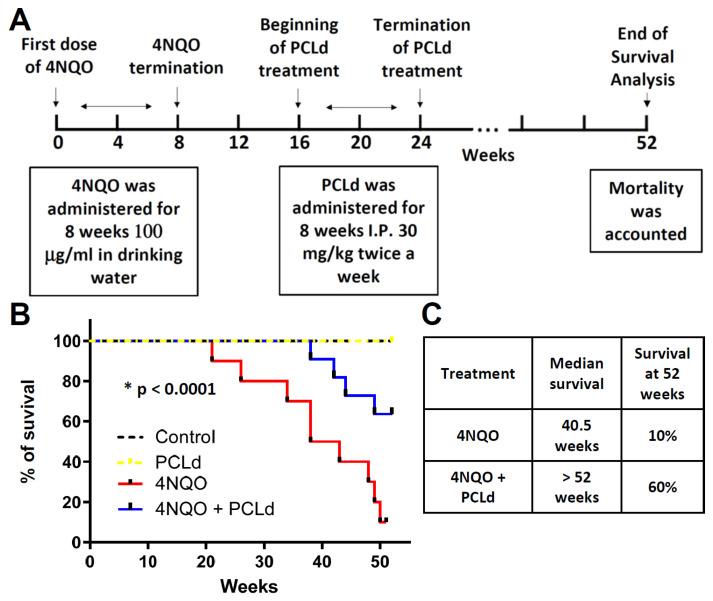 https://cdn.ncbi.nlm.nih.gov/pmc/blobs/57f0/10377665/62677ea0fa8d/biomedicines-11-01914-g003.jpg