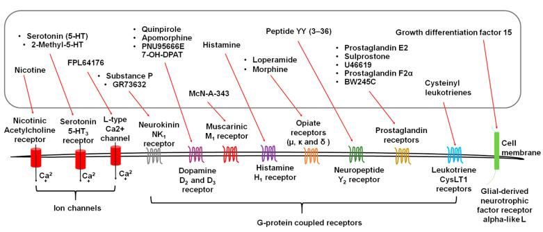 https://cdn.ncbi.nlm.nih.gov/pmc/blobs/57f0/8198651/83beaab945b8/ijms-22-05797-g002.jpg