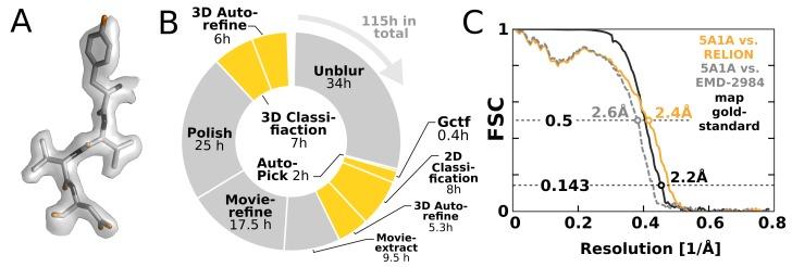 https://cdn.ncbi.nlm.nih.gov/pmc/blobs/57f2/5310839/80404b672347/elife-18722-fig8.jpg
