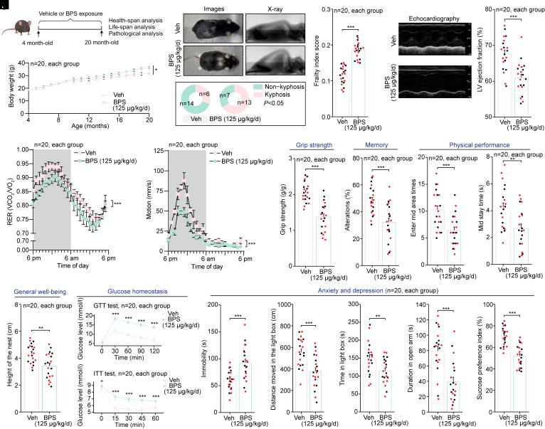 https://cdn.ncbi.nlm.nih.gov/pmc/blobs/5806/12167992/db8b8f8dff14/pnas.2420437122fig02.jpg