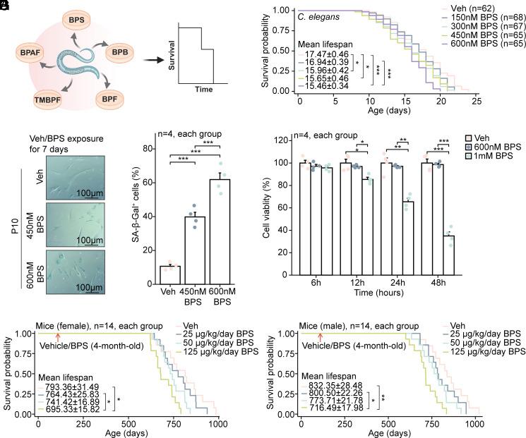 https://cdn.ncbi.nlm.nih.gov/pmc/blobs/5806/12167992/ec44a403522c/pnas.2420437122fig01.jpg