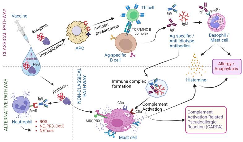 https://cdn.ncbi.nlm.nih.gov/pmc/blobs/580e/11506738/7feaff12761e/biomolecules-14-01320-g003.jpg