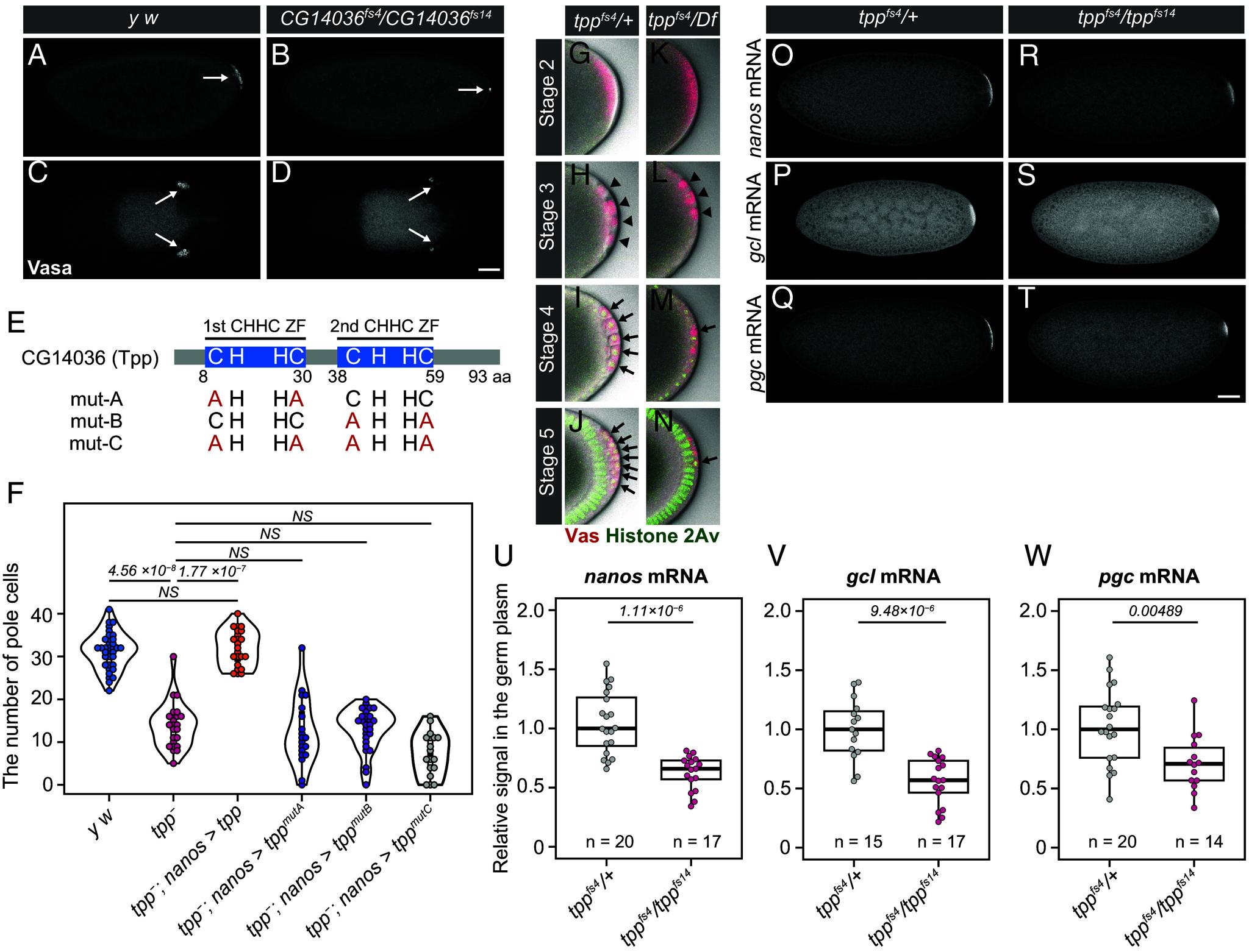 https://cdn.ncbi.nlm.nih.gov/pmc/blobs/583c/12184484/17555e15d864/pnas.2419375122fig01.jpg