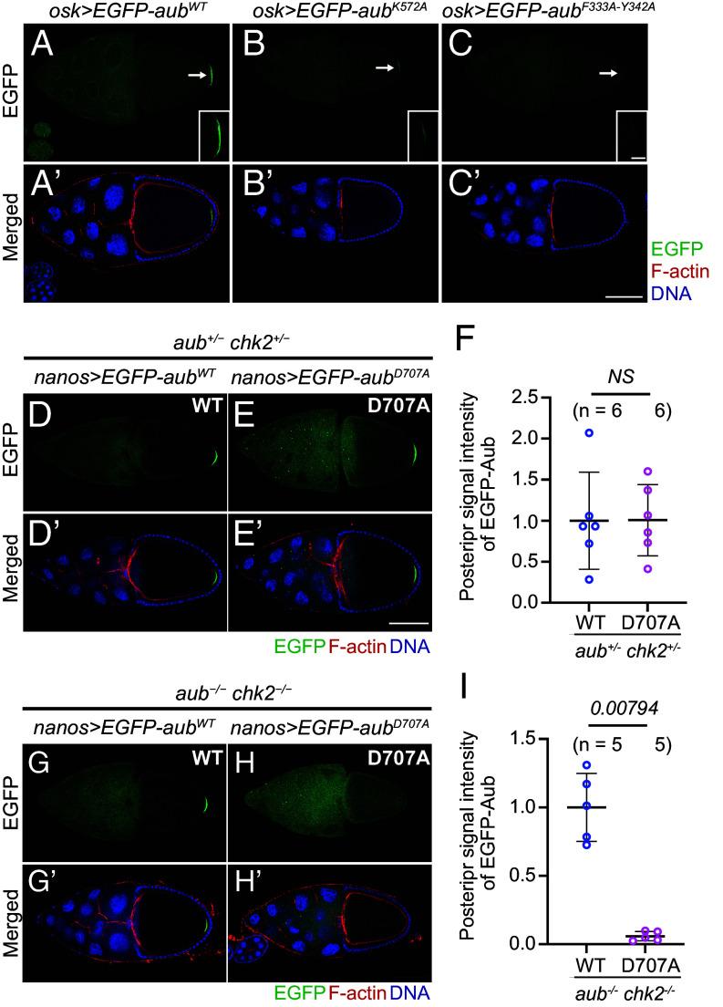 https://cdn.ncbi.nlm.nih.gov/pmc/blobs/583c/12184484/4950260c835e/pnas.2419375122fig05.jpg