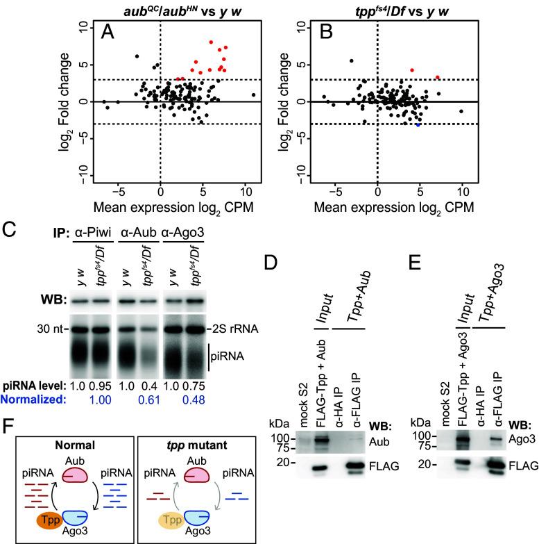 https://cdn.ncbi.nlm.nih.gov/pmc/blobs/583c/12184484/cb276300b30b/pnas.2419375122fig04.jpg