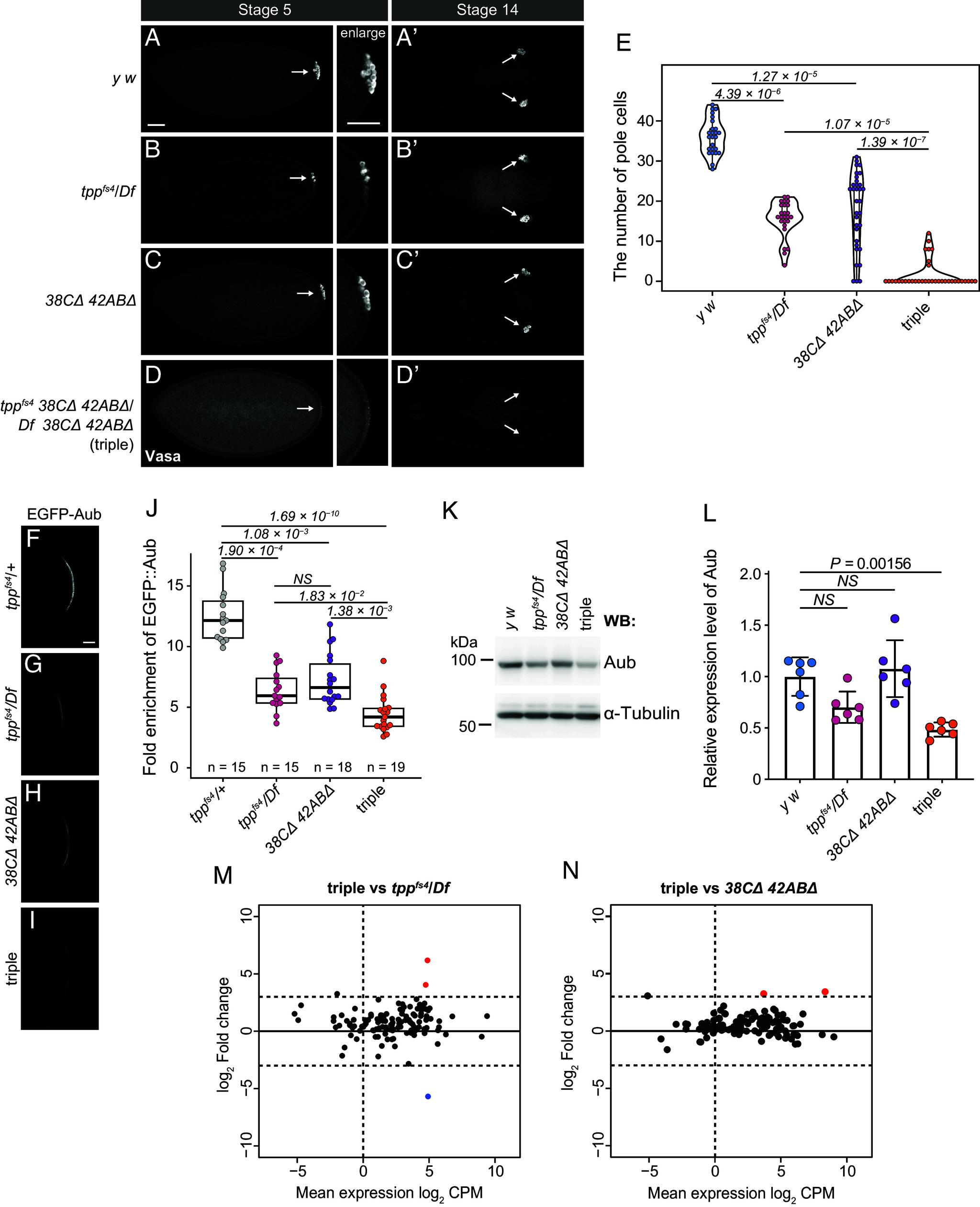https://cdn.ncbi.nlm.nih.gov/pmc/blobs/583c/12184484/fc8b438b9566/pnas.2419375122fig06.jpg