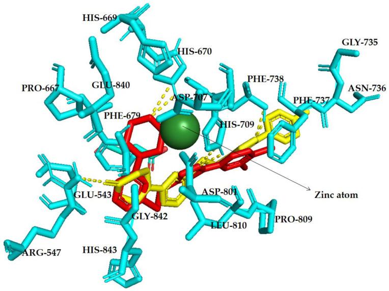 https://cdn.ncbi.nlm.nih.gov/pmc/blobs/583e/10343668/56e2b5de8071/molecules-28-05254-g002.jpg