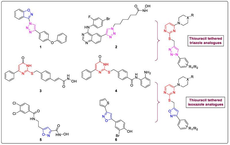 https://cdn.ncbi.nlm.nih.gov/pmc/blobs/583e/10343668/9706459bffb3/molecules-28-05254-g001.jpg