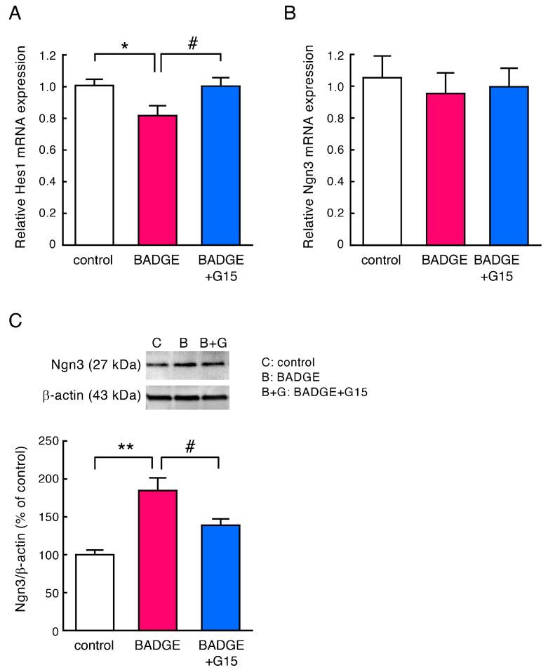 https://cdn.ncbi.nlm.nih.gov/pmc/blobs/583e/12196484/72dec0b1fc23/neurosci-06-00053-g006.jpg