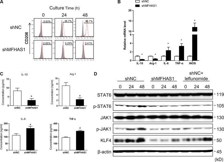 https://cdn.ncbi.nlm.nih.gov/pmc/blobs/5843/5346672/741a794131f7/oncotarget-07-78726-g002.jpg