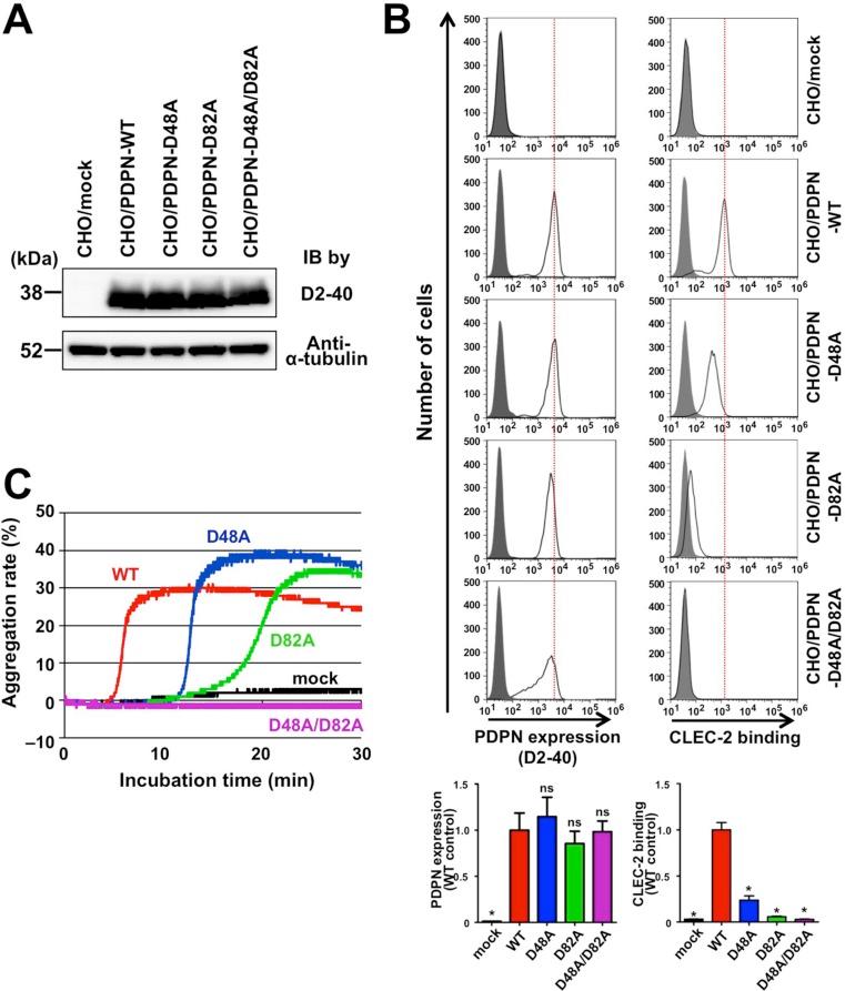 https://cdn.ncbi.nlm.nih.gov/pmc/blobs/584d/4826181/5b2aa3a1227c/oncotarget-07-3934-g002.jpg