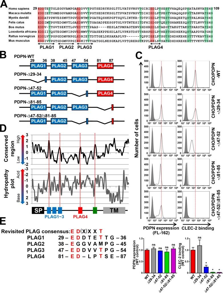 https://cdn.ncbi.nlm.nih.gov/pmc/blobs/584d/4826181/afd2dbfe2bd7/oncotarget-07-3934-g001.jpg