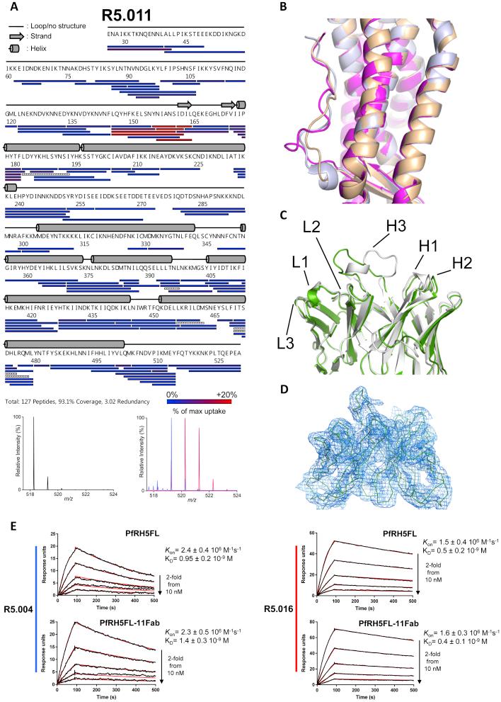 https://cdn.ncbi.nlm.nih.gov/pmc/blobs/5857/6602525/085059de0c5c/figs6.jpg