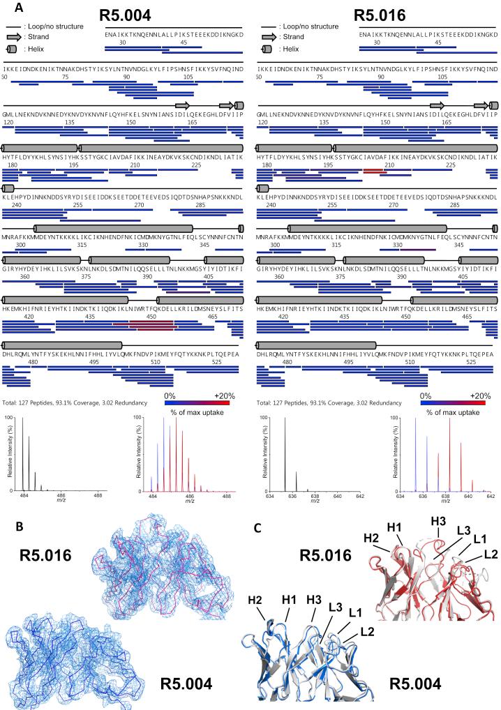 https://cdn.ncbi.nlm.nih.gov/pmc/blobs/5857/6602525/41f75f1abaed/figs4.jpg