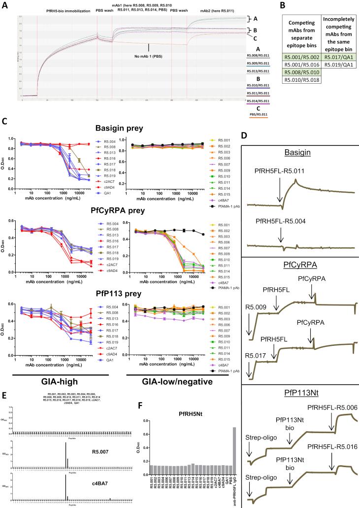 https://cdn.ncbi.nlm.nih.gov/pmc/blobs/5857/6602525/a5d189c8be99/figs3.jpg