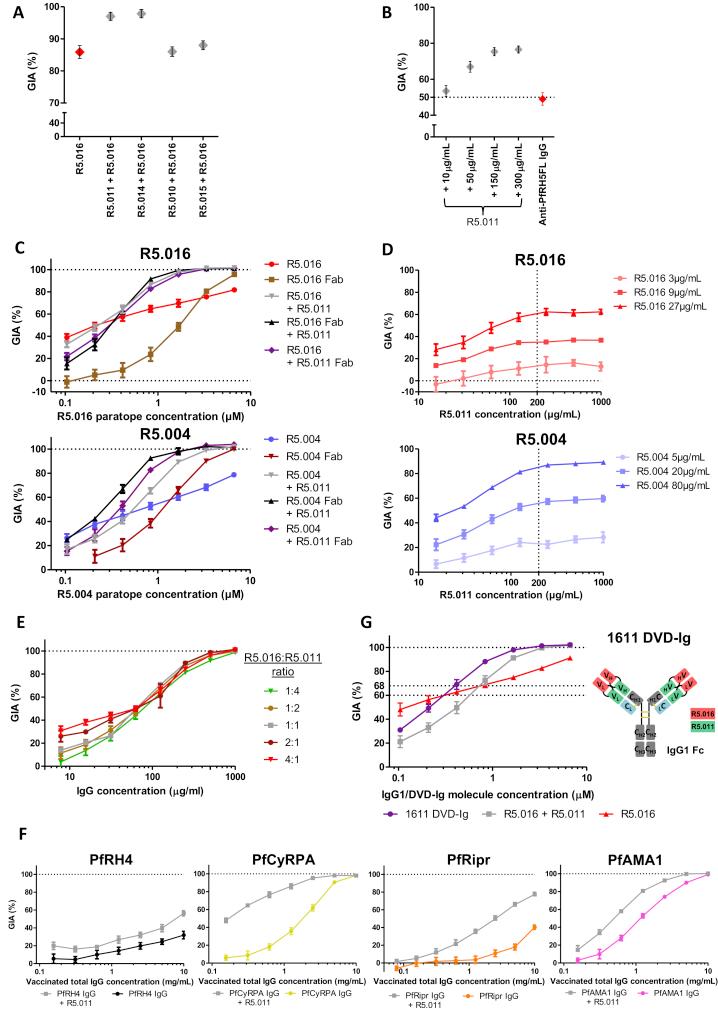https://cdn.ncbi.nlm.nih.gov/pmc/blobs/5857/6602525/ad853fc76877/figs5.jpg