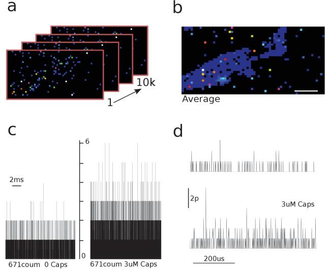 https://cdn.ncbi.nlm.nih.gov/pmc/blobs/585d/5716661/65c2d8c9b23d/elife-28626-fig1-figsupp2.jpg