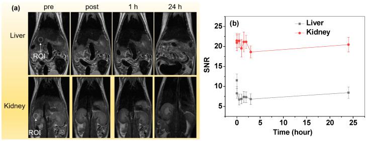 https://cdn.ncbi.nlm.nih.gov/pmc/blobs/5889/10819740/d847a68a4a57/nanomaterials-14-00177-g007.jpg