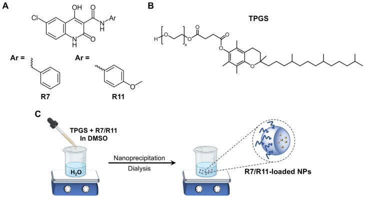 https://cdn.ncbi.nlm.nih.gov/pmc/blobs/588e/11727162/c727ab13abb2/biomedicines-12-02676-g001.jpg