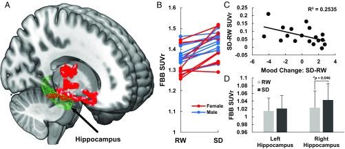 https://cdn.ncbi.nlm.nih.gov/pmc/blobs/58a9/5924922/1f7eef1c2489/pnas.1721694115fig01.jpg