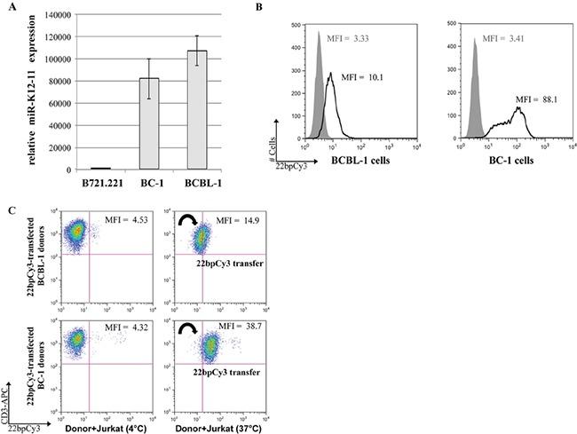 https://cdn.ncbi.nlm.nih.gov/pmc/blobs/58b3/5173102/75b8d944195c/oncotarget-07-41870-g001.jpg