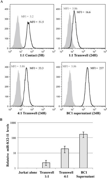 https://cdn.ncbi.nlm.nih.gov/pmc/blobs/58b3/5173102/c5e99e7b6b42/oncotarget-07-41870-g004.jpg