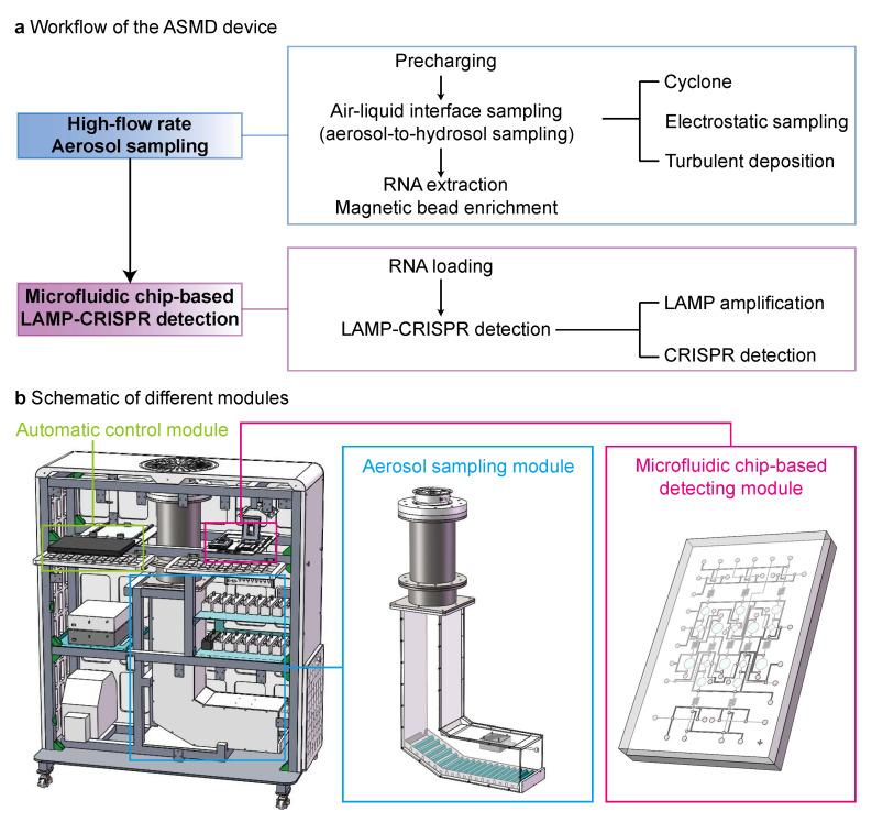 https://cdn.ncbi.nlm.nih.gov/pmc/blobs/58ba/12384654/751f838d286c/biosensors-15-00475-g001.jpg
