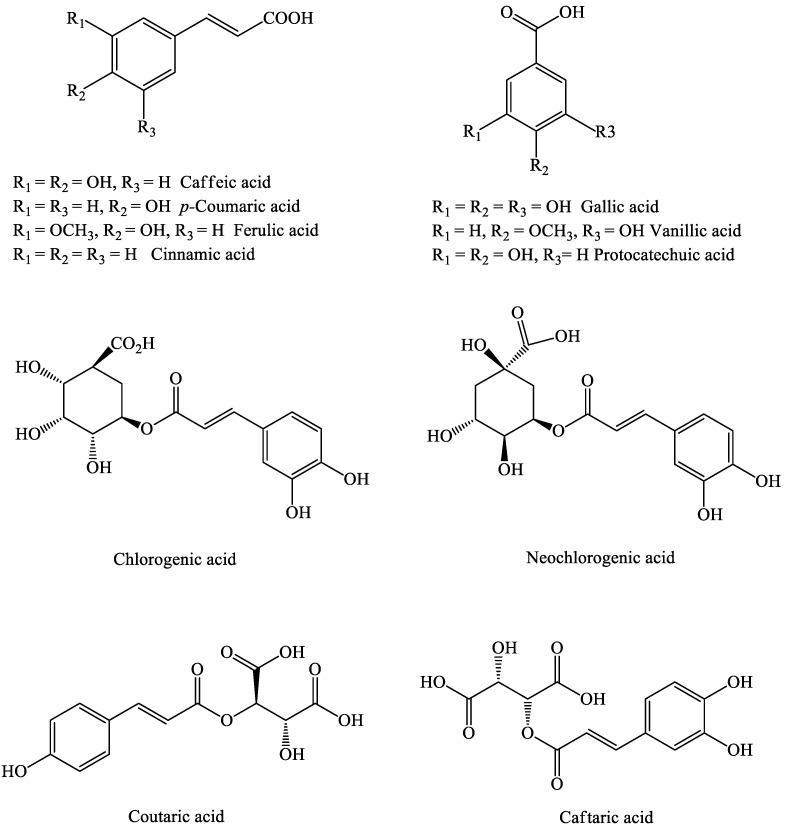 https://cdn.ncbi.nlm.nih.gov/pmc/blobs/58c1/9146061/86e89249a2bd/molecules-27-03286-g002.jpg