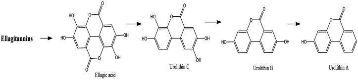https://cdn.ncbi.nlm.nih.gov/pmc/blobs/58c1/9146061/9c556fa5a35c/molecules-27-03286-g003.jpg