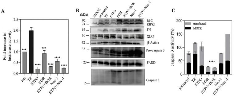 https://cdn.ncbi.nlm.nih.gov/pmc/blobs/58d5/9954477/15f813d4d4c4/biosensors-13-00297-g005.jpg