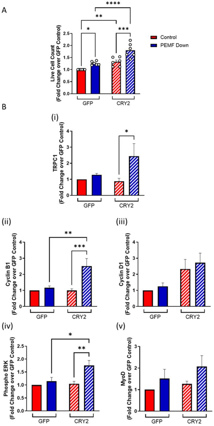 https://cdn.ncbi.nlm.nih.gov/pmc/blobs/58f2/11817702/d0b07d56c21d/cells-14-00231-g003.jpg