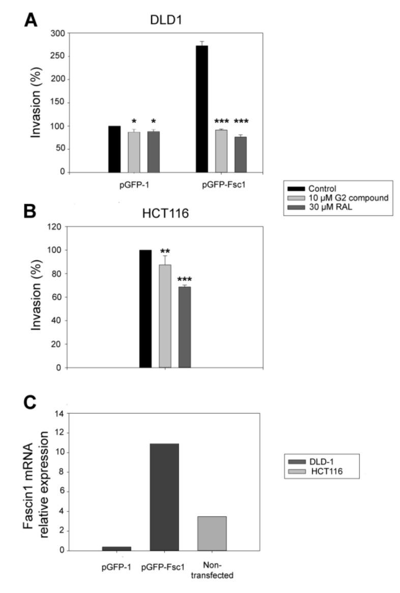 https://cdn.ncbi.nlm.nih.gov/pmc/blobs/5908/7921938/003a2d14b496/cancers-13-00861-g0A5.jpg
