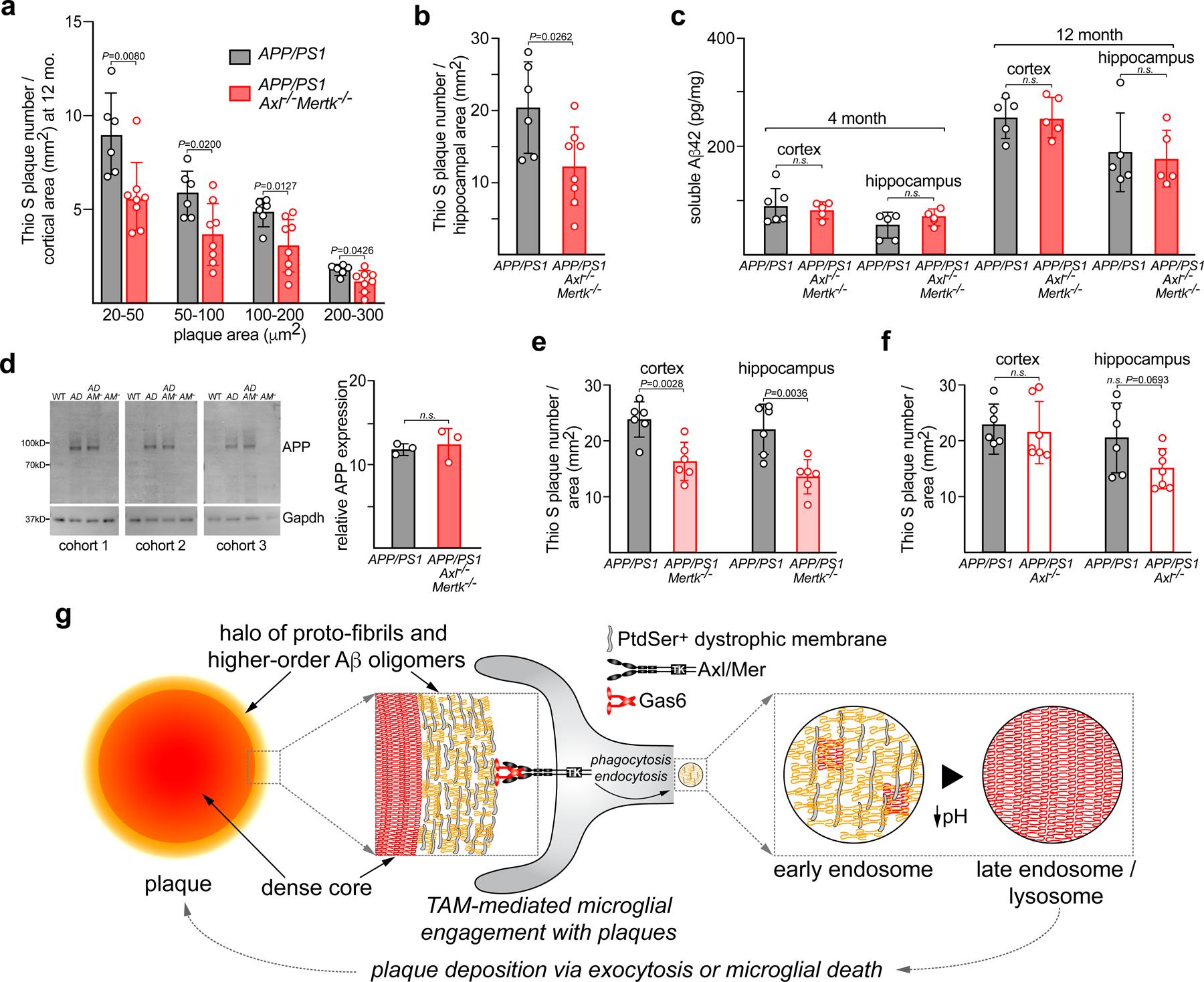 https://cdn.ncbi.nlm.nih.gov/pmc/blobs/5915/8102389/65b8b76cb749/nihms-1680908-f0013.jpg