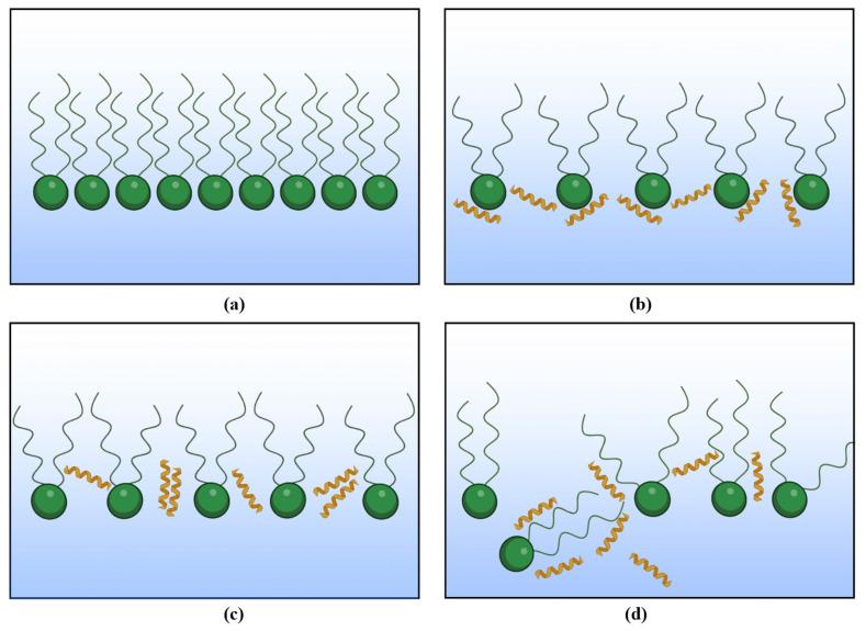https://cdn.ncbi.nlm.nih.gov/pmc/blobs/5927/11013288/fa64522eb5bd/molecules-29-01522-g004.jpg