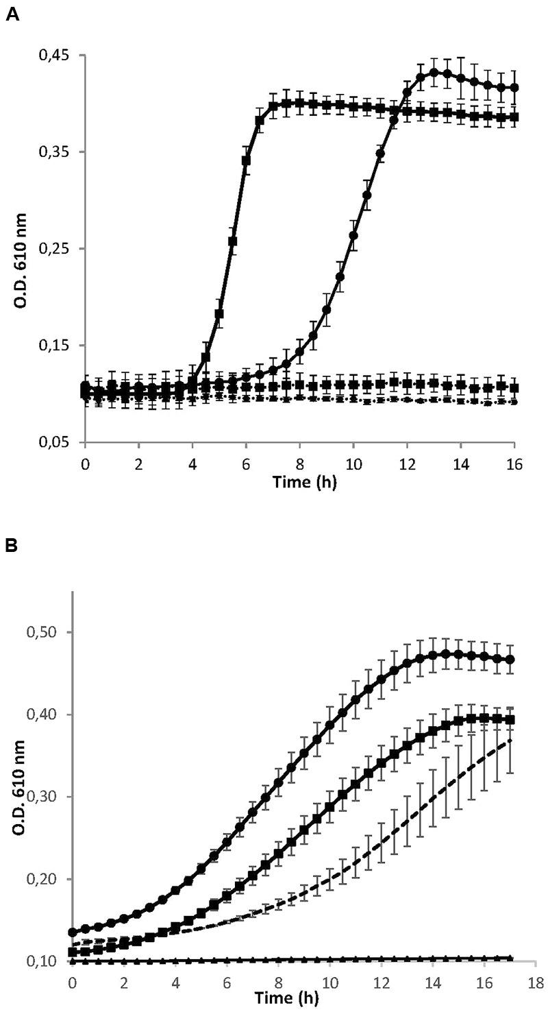 https://cdn.ncbi.nlm.nih.gov/pmc/blobs/5949/5344910/5cdcf89207b6/fmicb-08-00379-g001.jpg