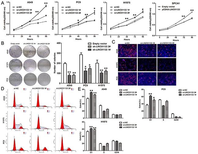 https://cdn.ncbi.nlm.nih.gov/pmc/blobs/5963/4905504/220004e75a9d/oncotarget-07-11696-g002.jpg