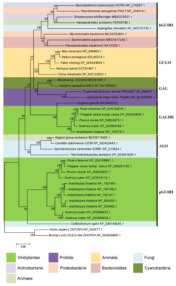 https://cdn.ncbi.nlm.nih.gov/pmc/blobs/5964/9602106/e4b276986a7c/genes-13-01917-g005.jpg