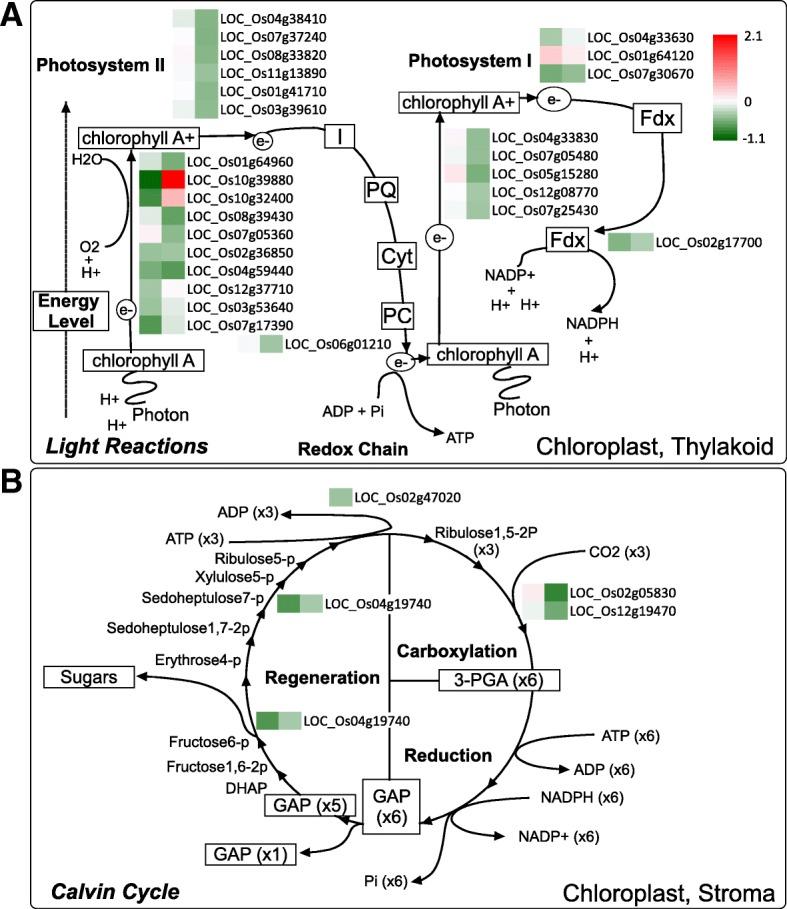 https://cdn.ncbi.nlm.nih.gov/pmc/blobs/5966/6282272/847d42a0aecf/12870_2018_1538_Fig6_HTML.jpg