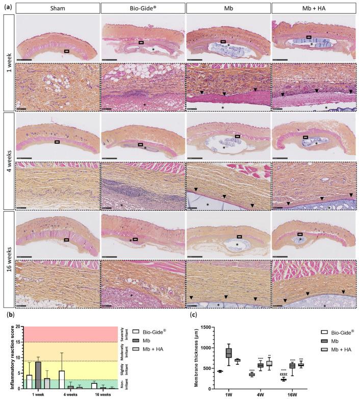 https://cdn.ncbi.nlm.nih.gov/pmc/blobs/596d/10669683/a8373f013fa0/bioengineering-10-01257-g003.jpg