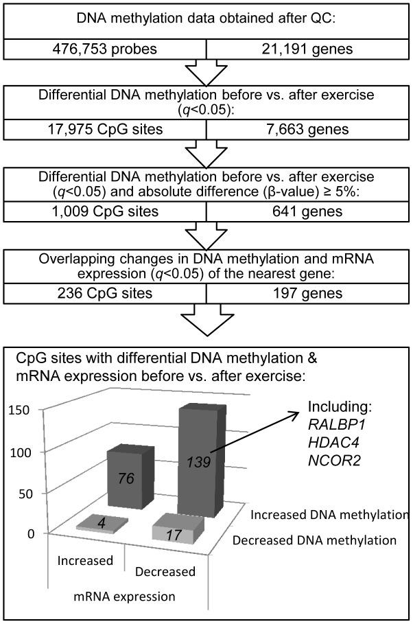 https://cdn.ncbi.nlm.nih.gov/pmc/blobs/5976/3694844/513c18f82a67/pgen.1003572.g002.jpg