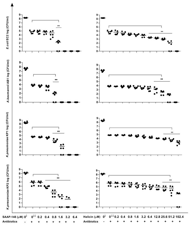 https://cdn.ncbi.nlm.nih.gov/pmc/blobs/5981/10741160/91341e2bb1e1/antibiotics-12-01743-g002.jpg